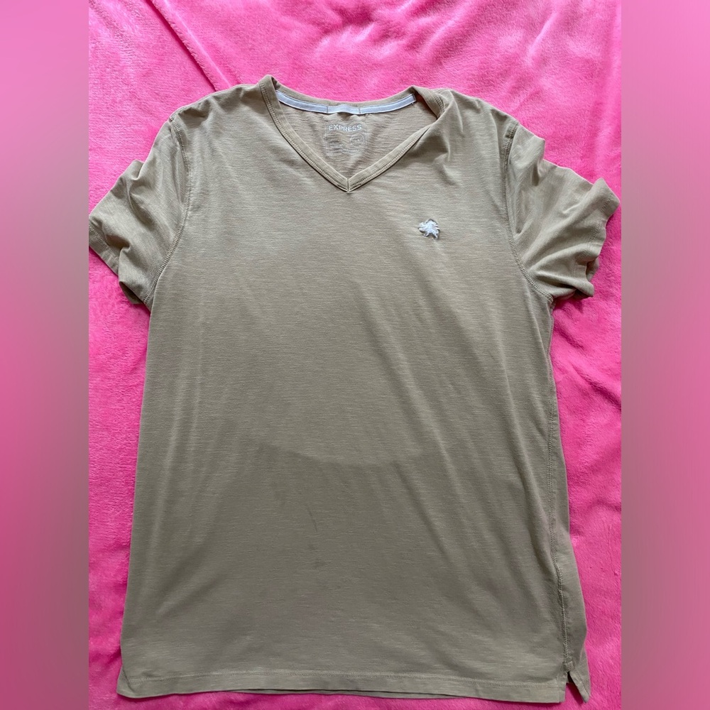 Men’s Express T-Shirt Large (L)